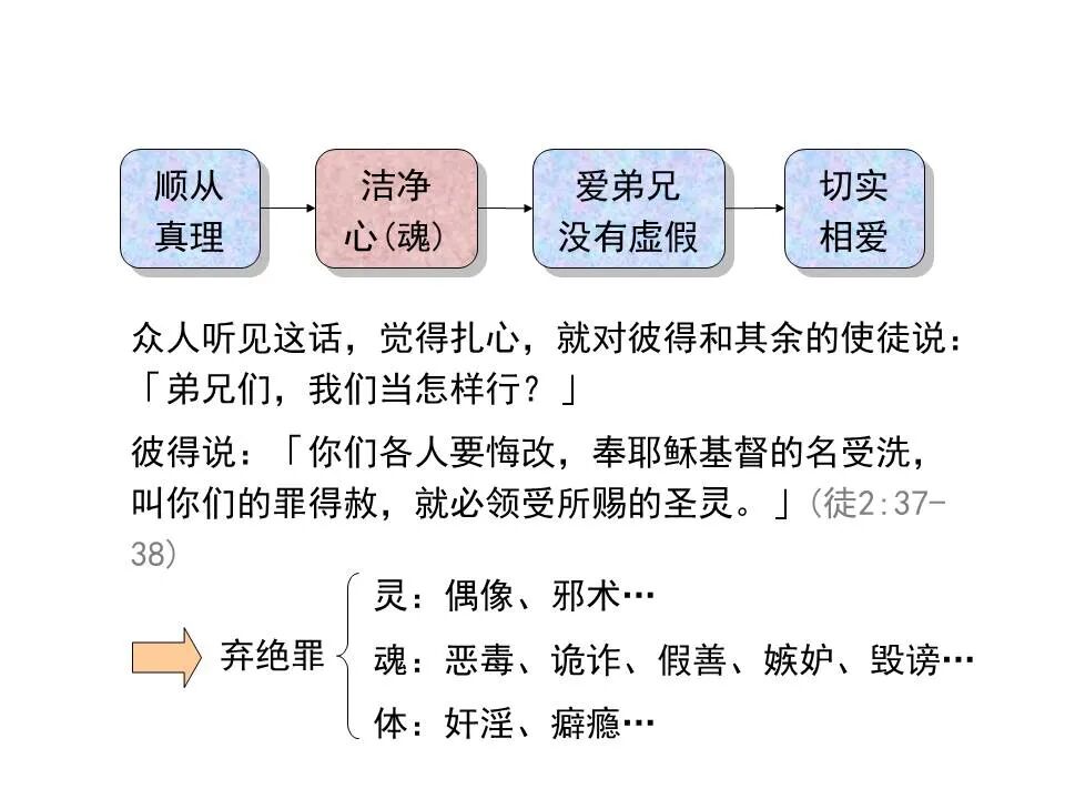 圣经图表——《彼得前书》(图26)