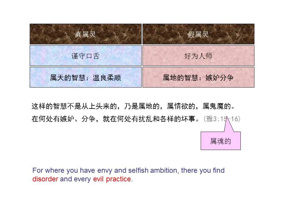 圣经图表——《雅各书》(图72)