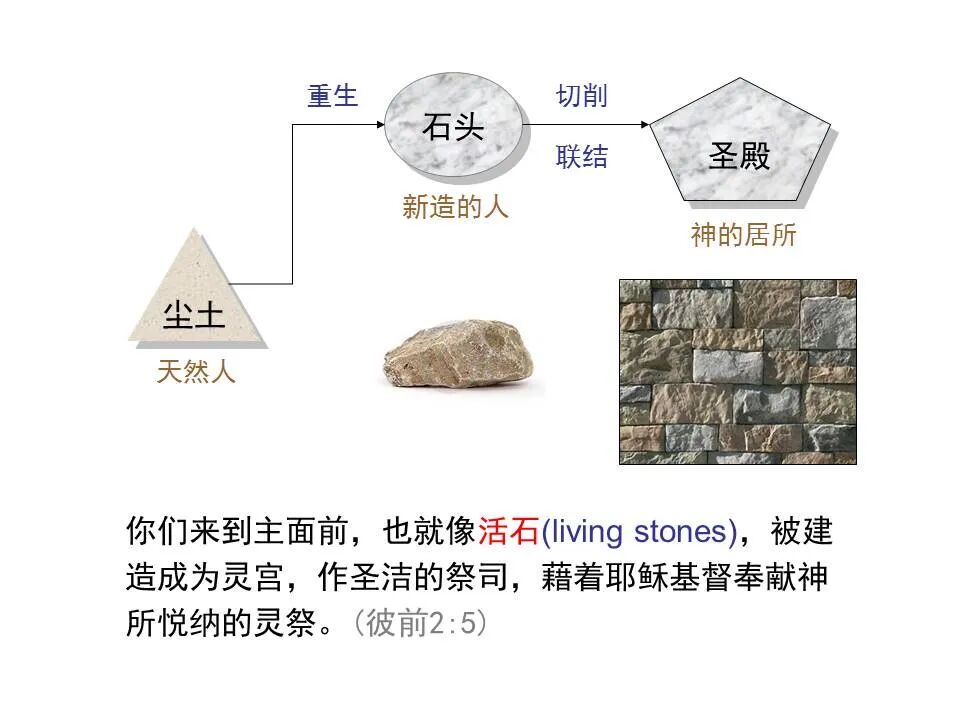 圣经图表——《彼得前书》(图38)