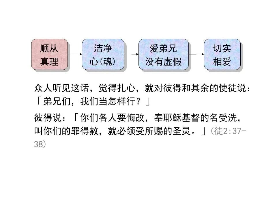 圣经图表——《彼得前书》(图25)