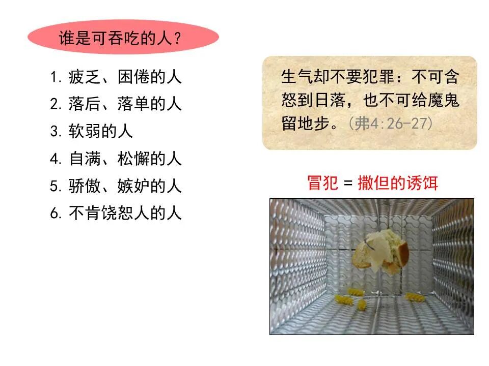 圣经图表——《彼得前书》(图94)