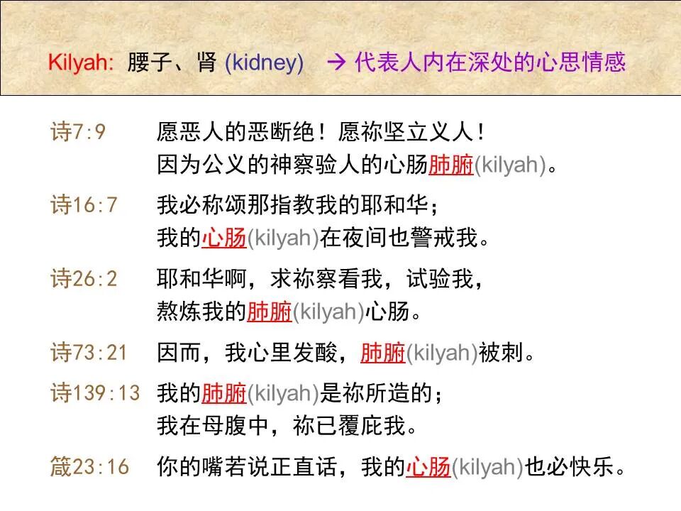 圣经图表——《希伯来书》下(图84)