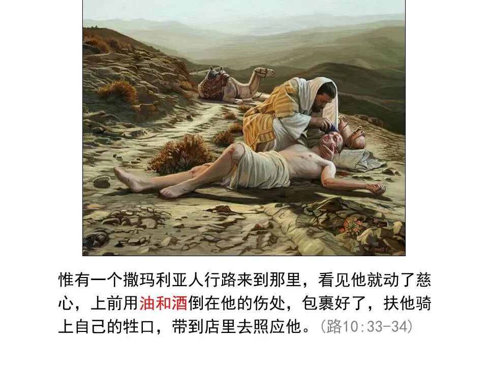 圣经图表——《雅各书》(图103)