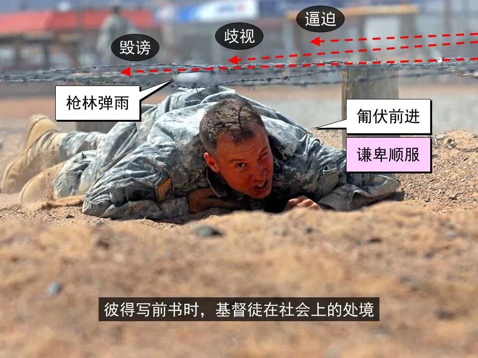 圣经图表——《彼得前书》(图46)