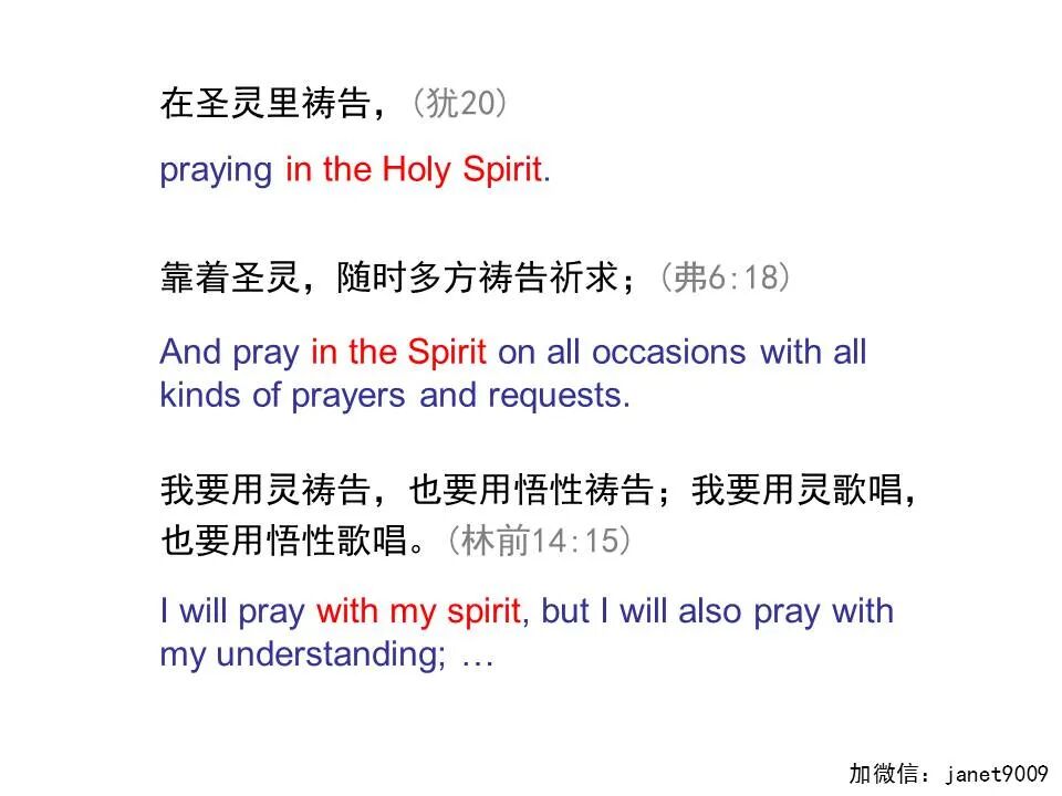 圣经图表——《犹大书》(图22)