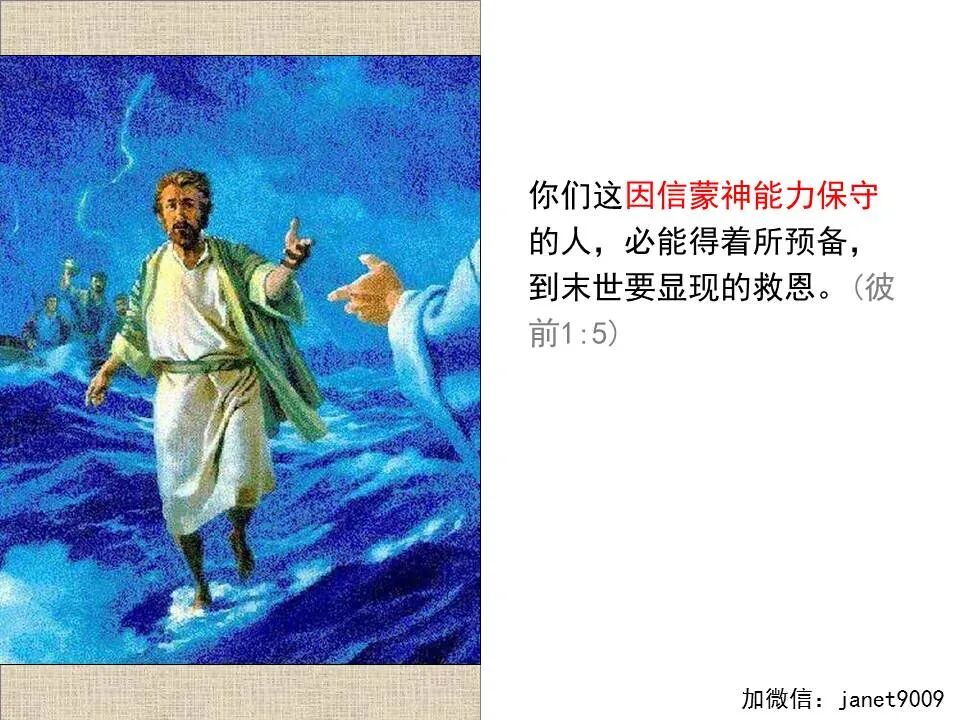 圣经图表——《彼得前书》(图11)