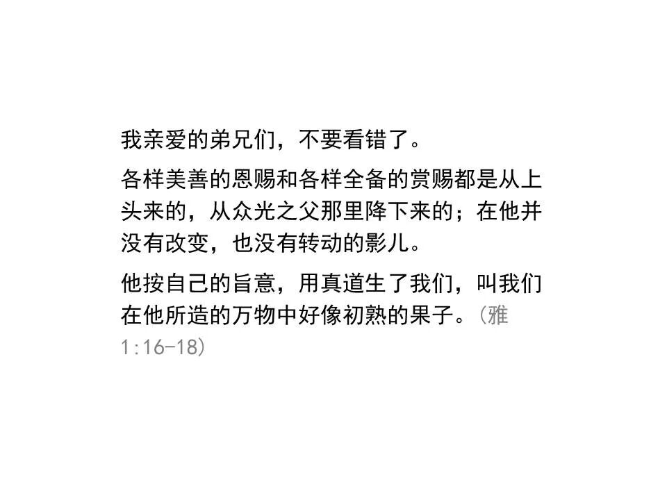 圣经图表——《雅各书》(图29)