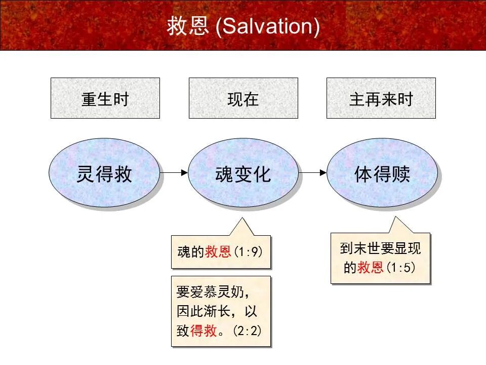 圣经图表——《彼得前书》(图10)