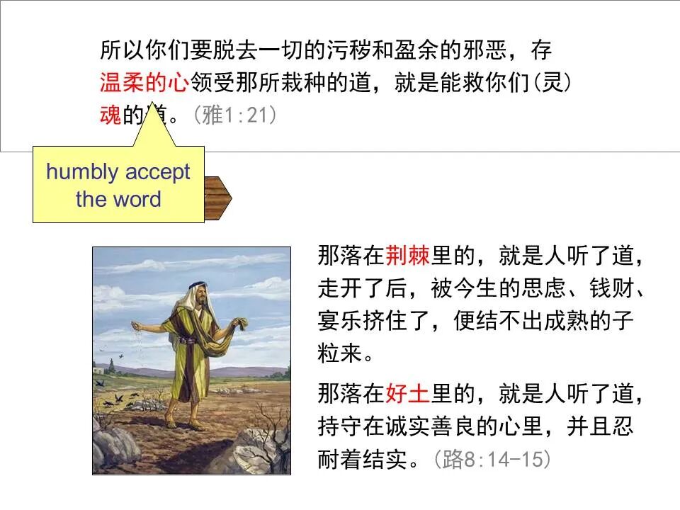 圣经图表——《雅各书》(图43)