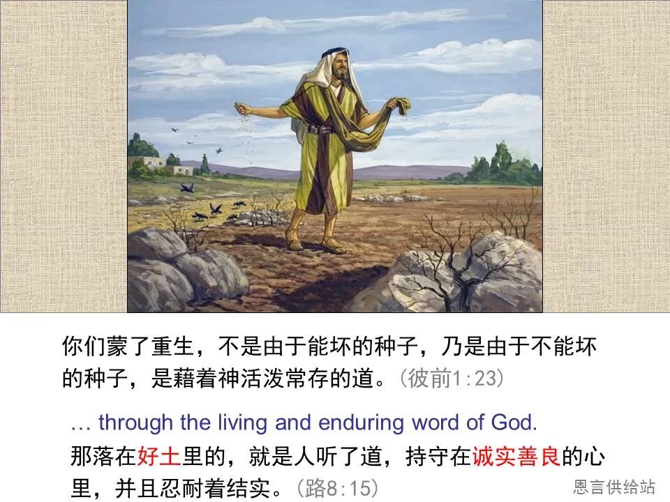 圣经图表——《彼得前书》(图31)