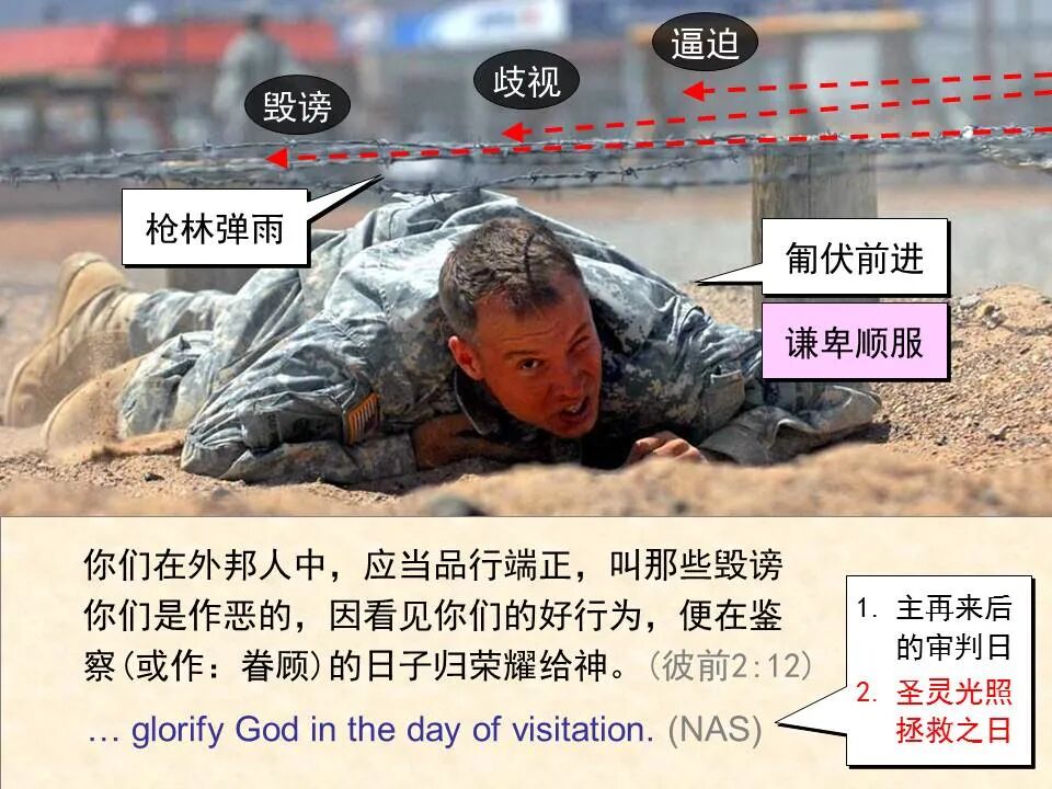 圣经图表——《彼得前书》(图48)