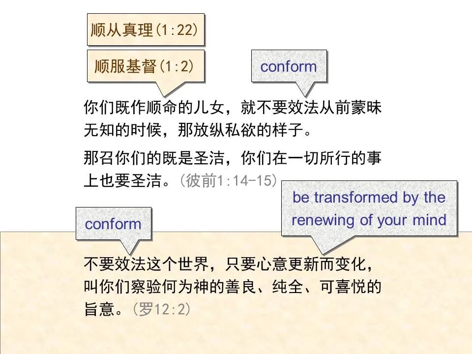 圣经图表——《彼得前书》(图19)