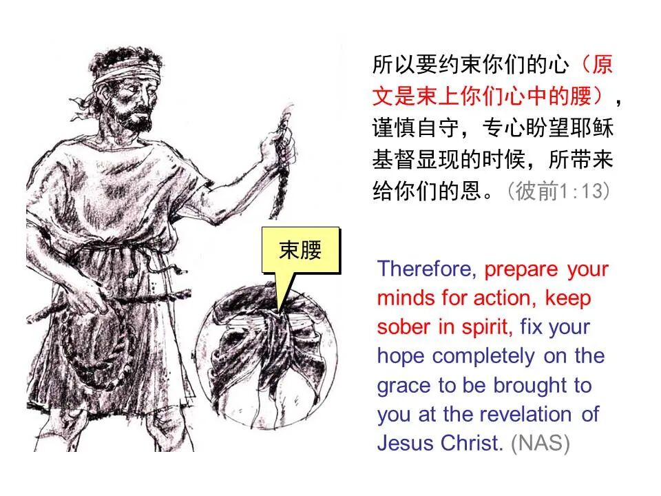 圣经图表——《彼得前书》(图17)