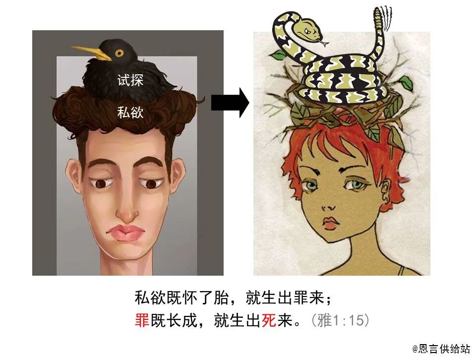 圣经图表——《雅各书》(图24)