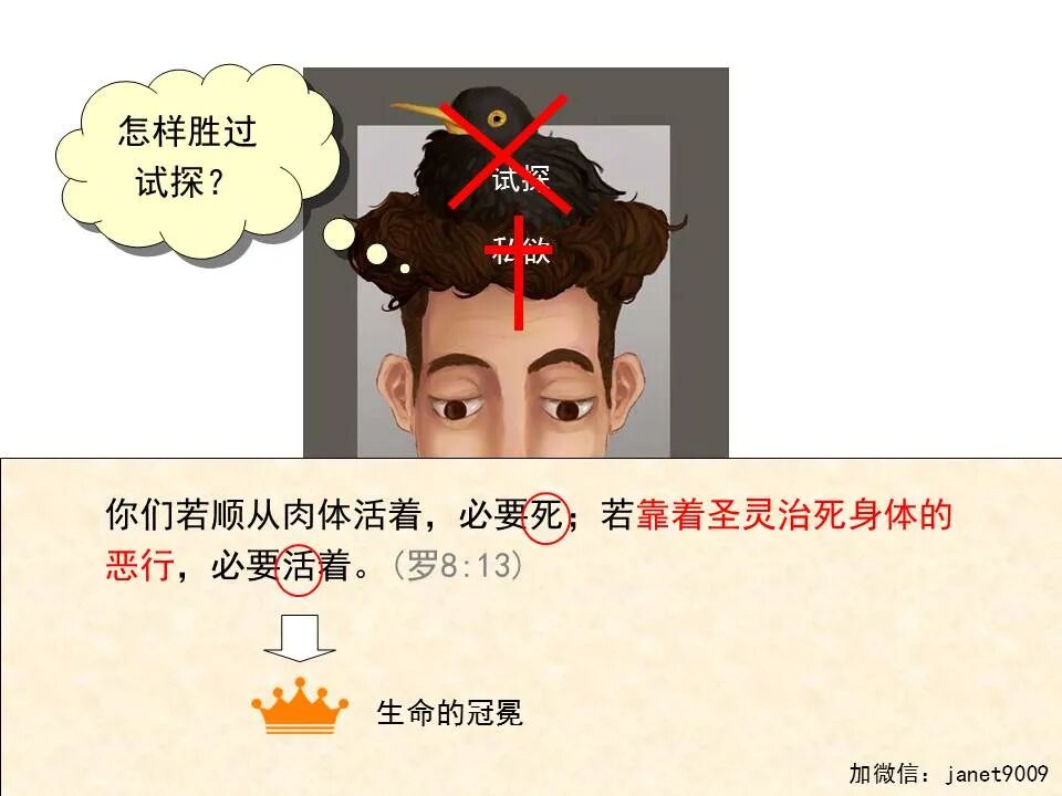 圣经图表——《雅各书》(图27)