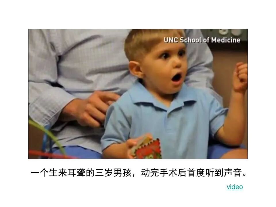 圣经图表——《雅各书》(图33)