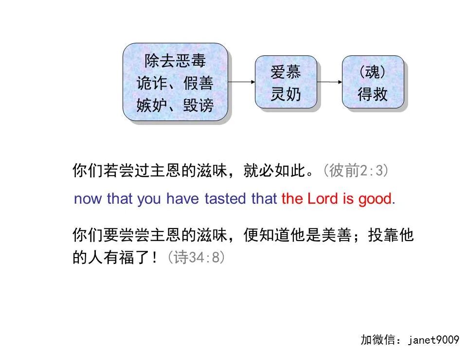 圣经图表——《彼得前书》(图34)