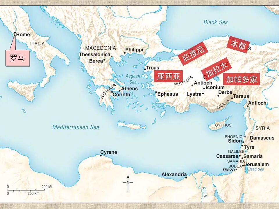 圣经图表——《彼得前书》(图2)