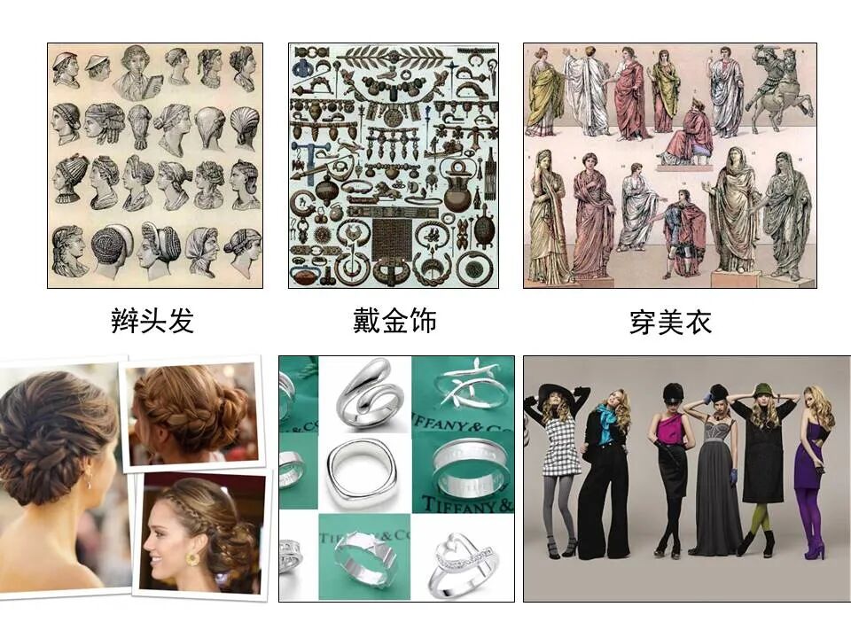 圣经图表——《彼得前书》(图63)