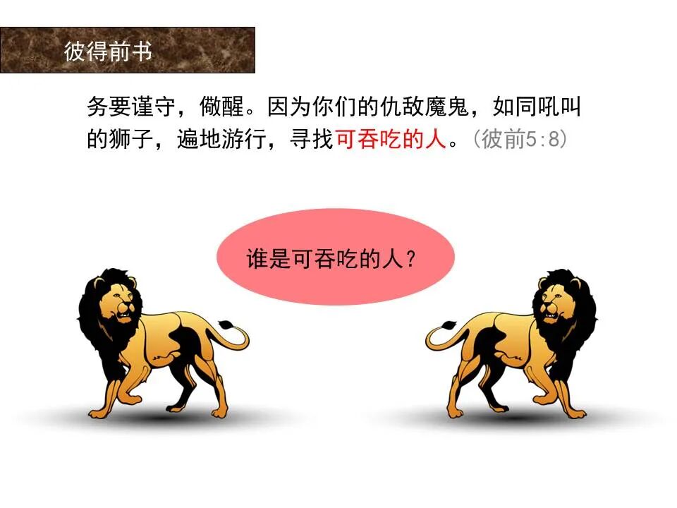 圣经图表——《彼得前书》(图88)