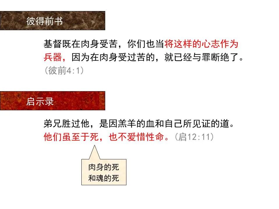 圣经图表——《彼得前书》(图72)