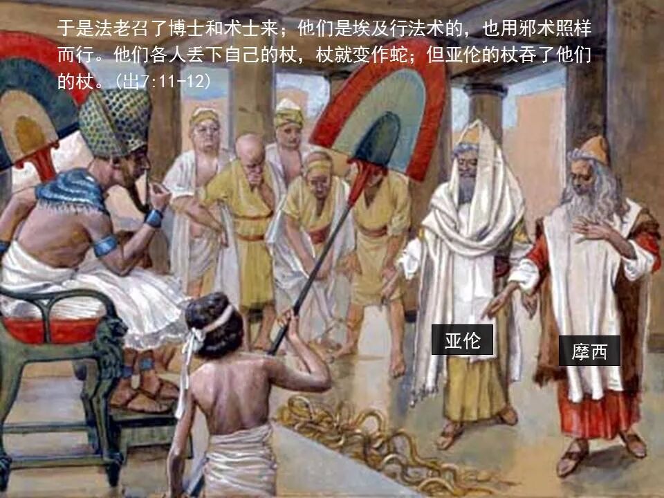 圣经图表——《提摩太后书》(图18)