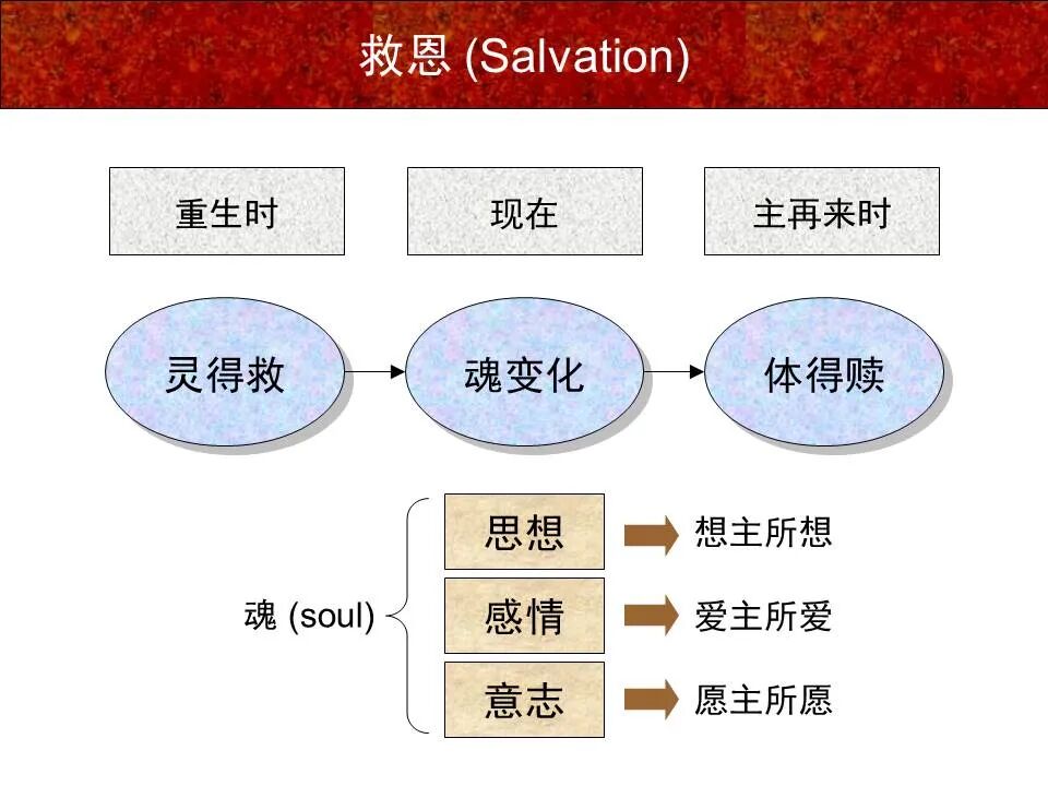 圣经图表——《彼得前书》(图13)