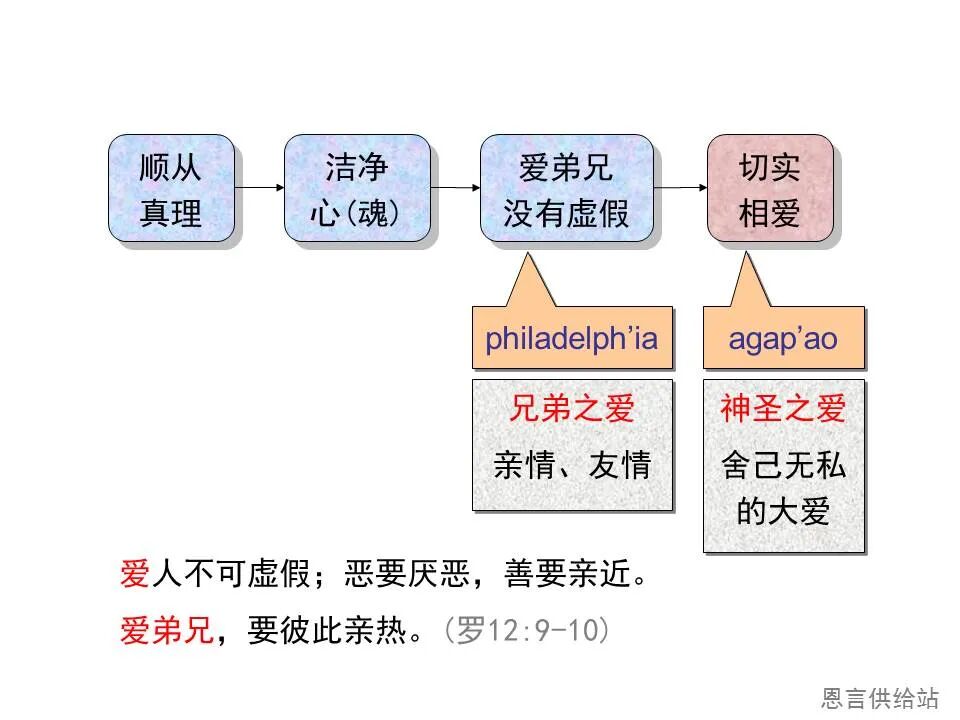 圣经图表——《彼得前书》(图27)