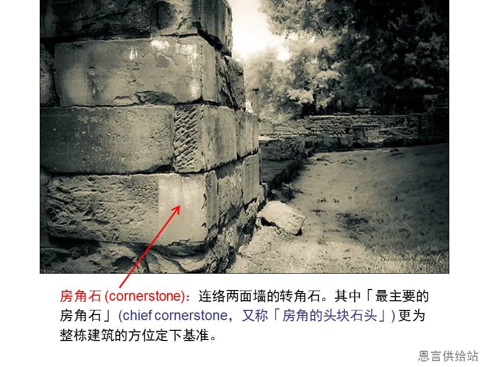 圣经图表——《彼得前书》(图43)