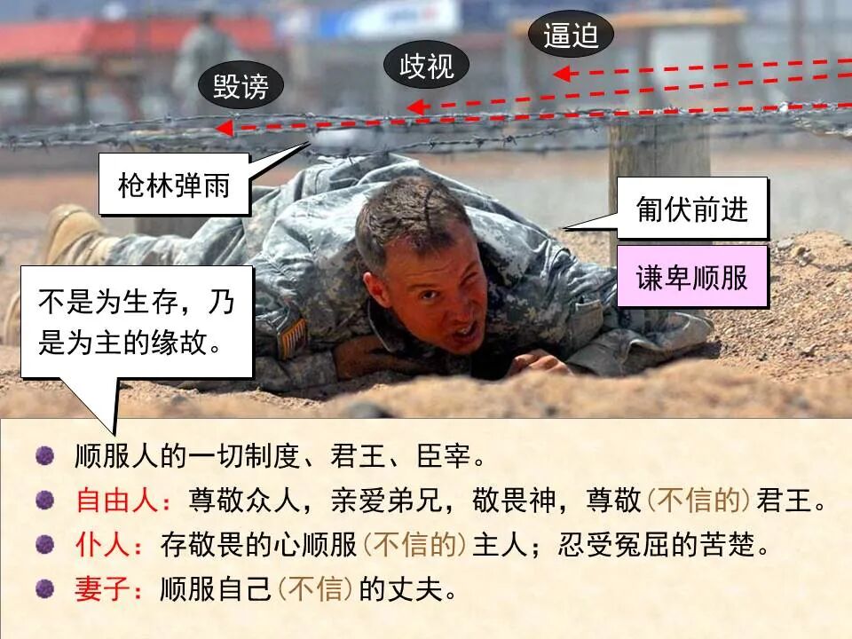 圣经图表——《彼得前书》(图47)