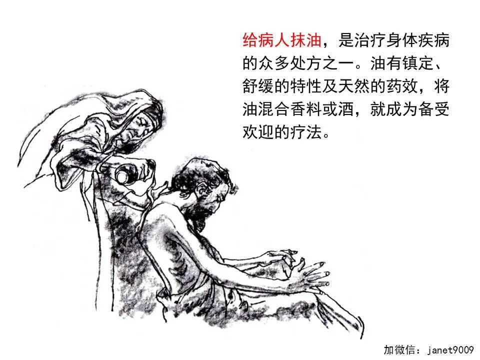 圣经图表——《雅各书》(图102)