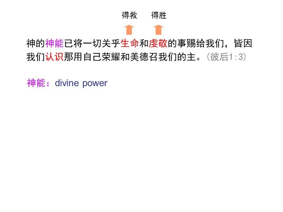 圣经图表——《彼得后书》(图3)