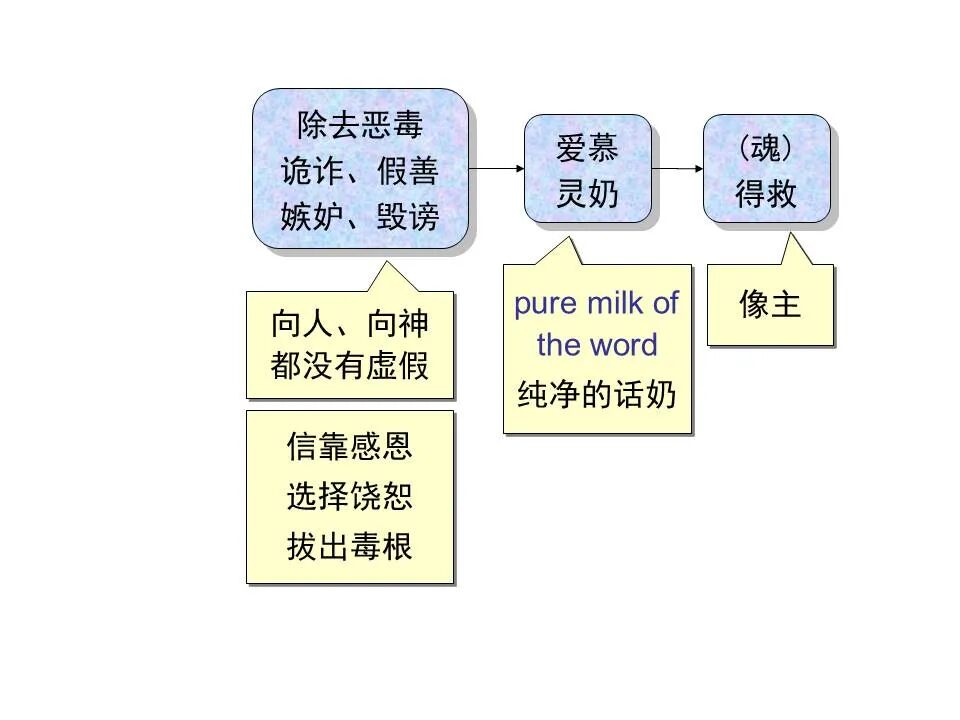圣经图表——《彼得前书》(图33)