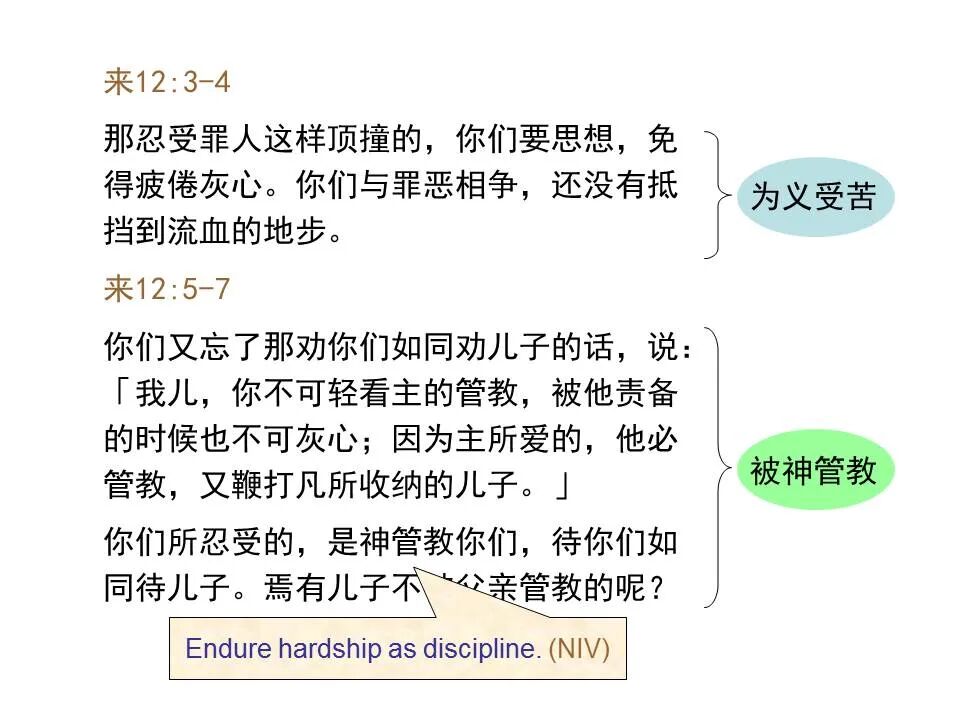 圣经图表——《希伯来书》下(图63)