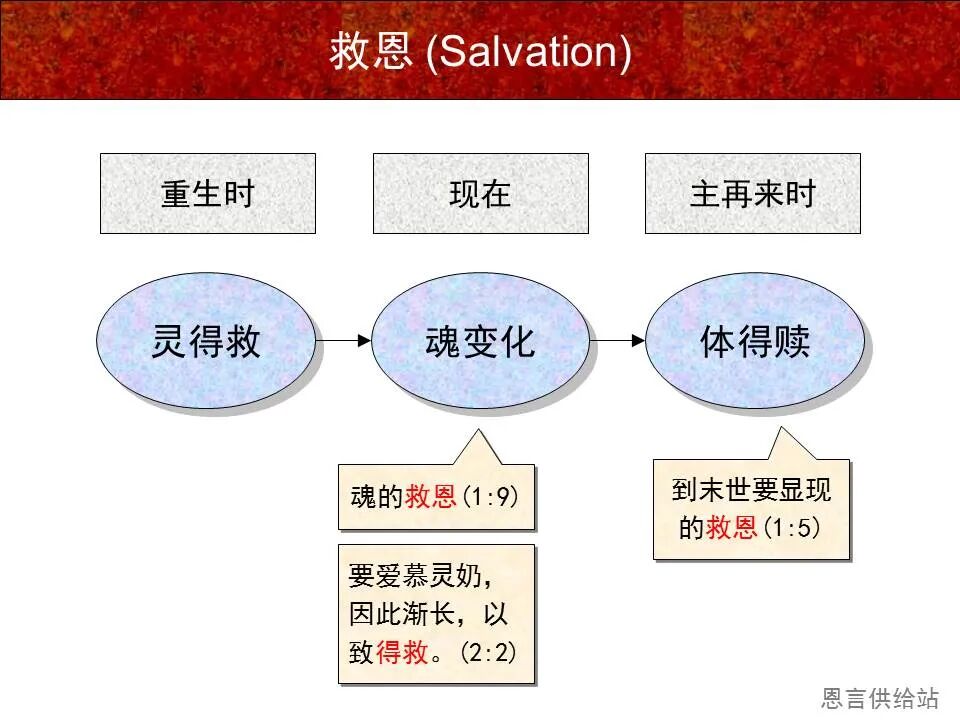 圣经图表——《彼得前书》(图14)