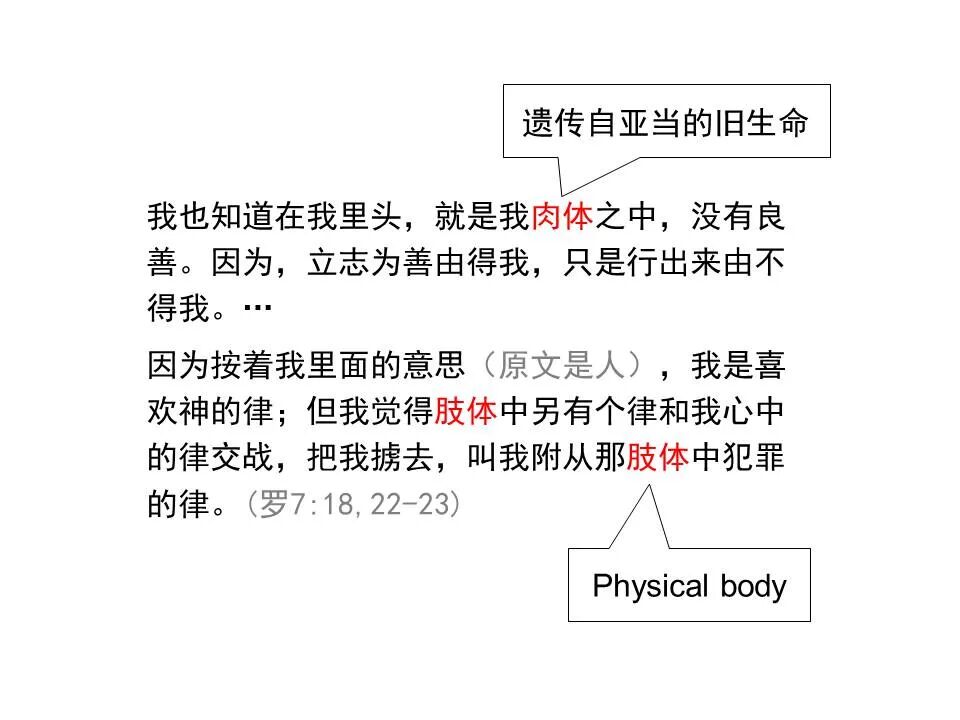 圣经图表——《雅各书》(图76)