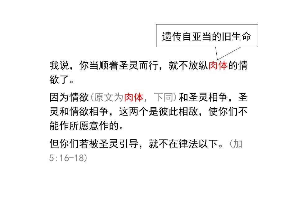 圣经图表——《雅各书》(图77)