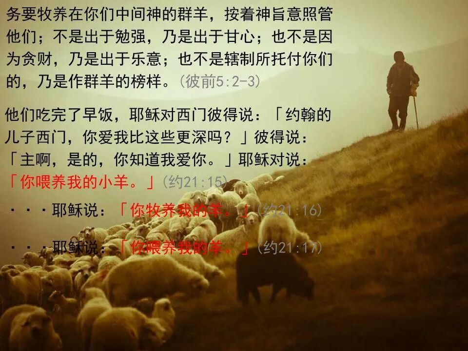 圣经图表——《彼得前书》(图85)