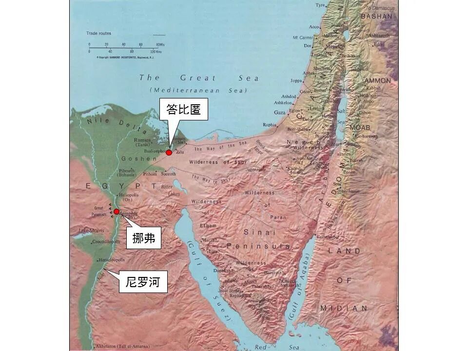 圣经图表——《耶利米书》上(图12)