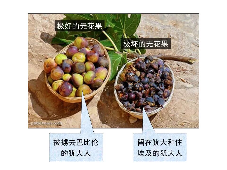 圣经图表——《耶利米书》上(图59)