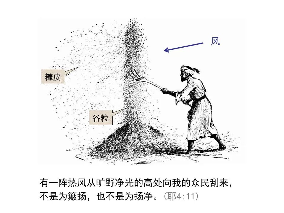 圣经图表——《耶利米书》上(图15)