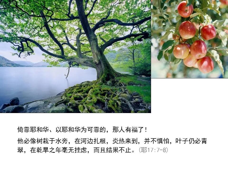 圣经图表——《耶利米书》上(图31)