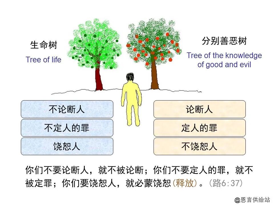 圣经图表——《路加福音》上(图105)
