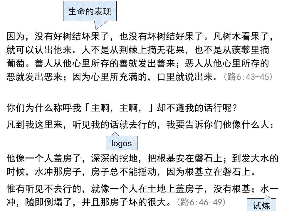 圣经图表——《路加福音》上(图112)