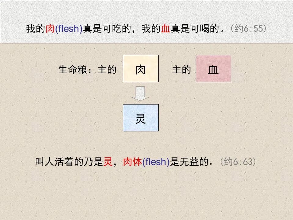 圣经图表——《约翰福音》上(图64)