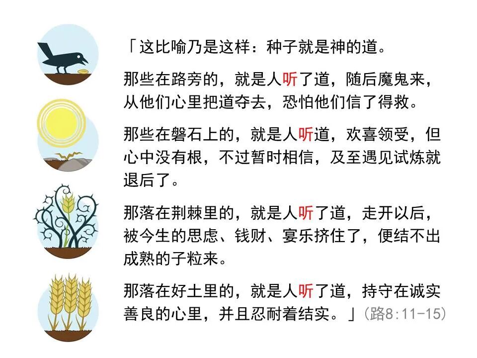 圣经图表——《路加福音》中(图17)