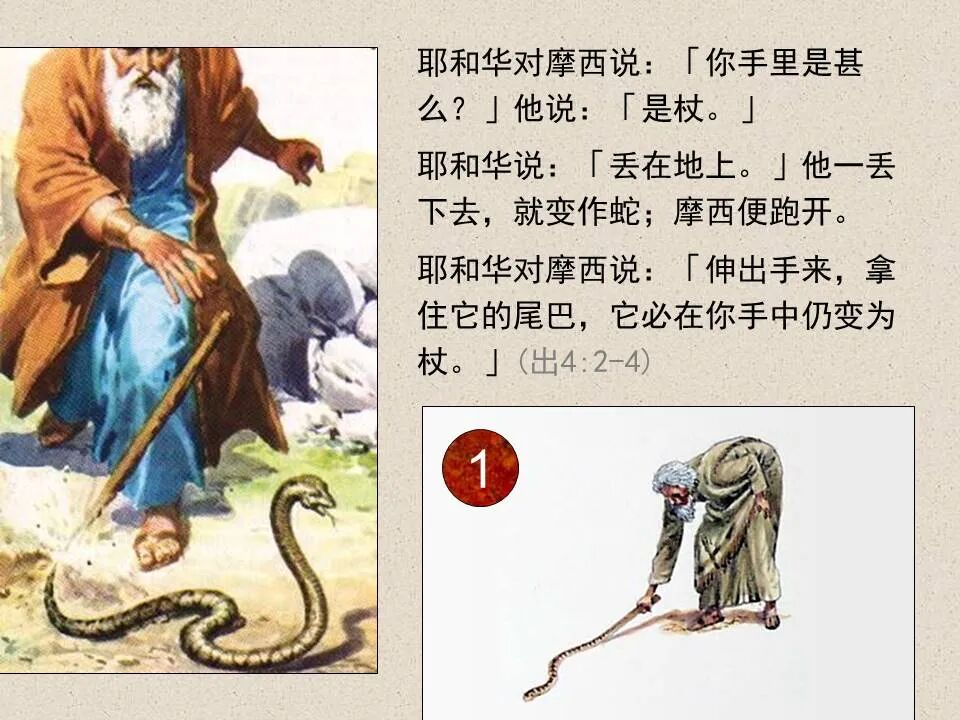 圣经图表——《约翰福音》下(图15)