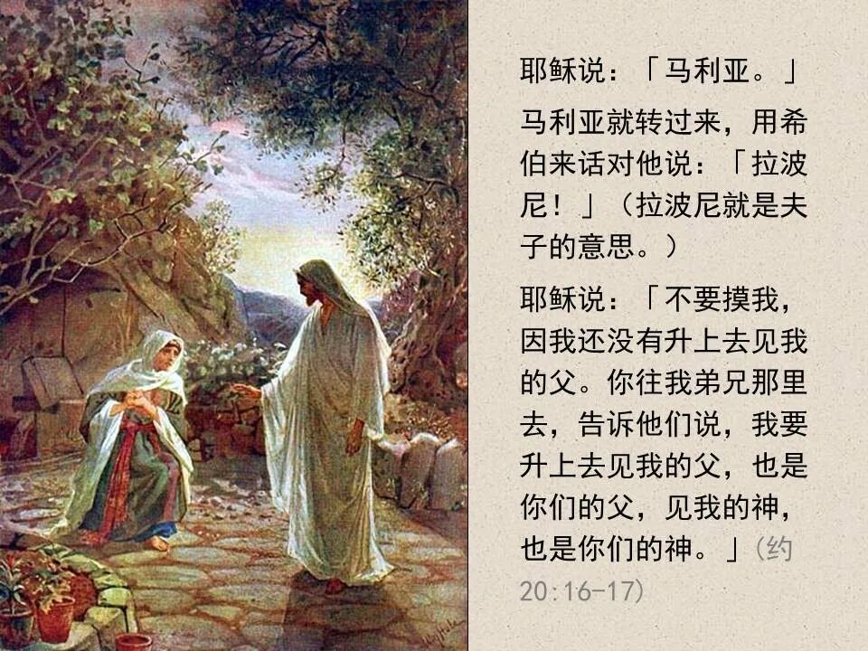 圣经图表——《约翰福音》下(图102)