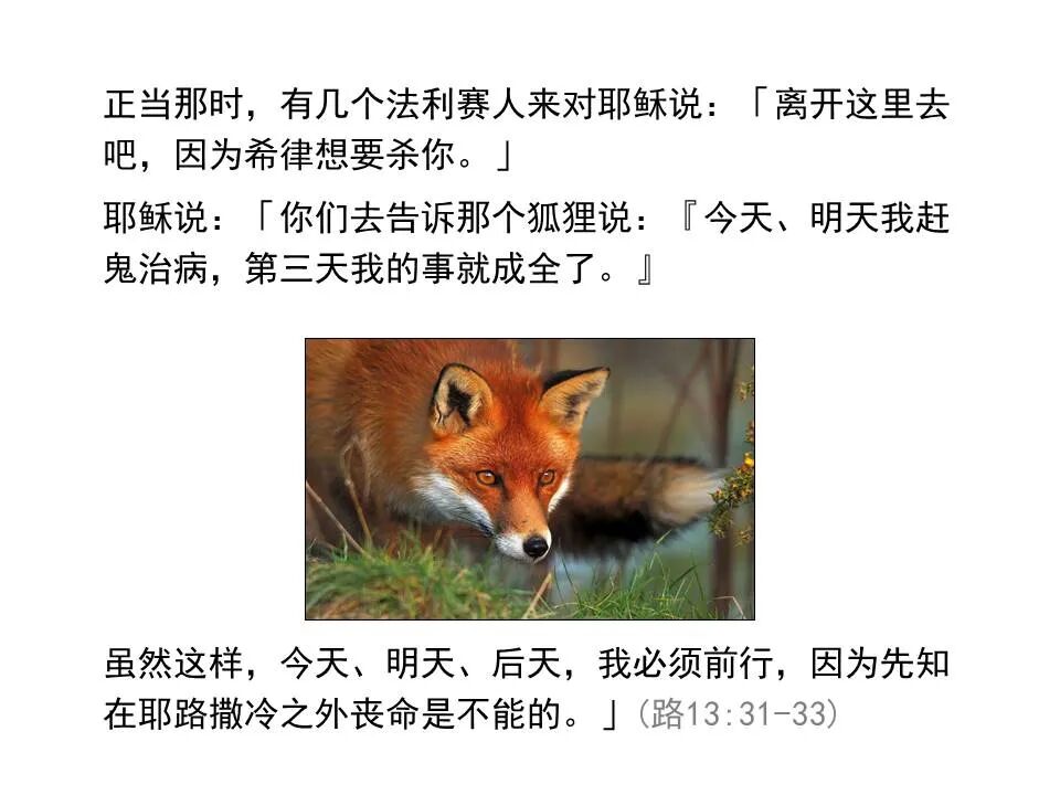 圣经图表——《路加福音》中(图100)