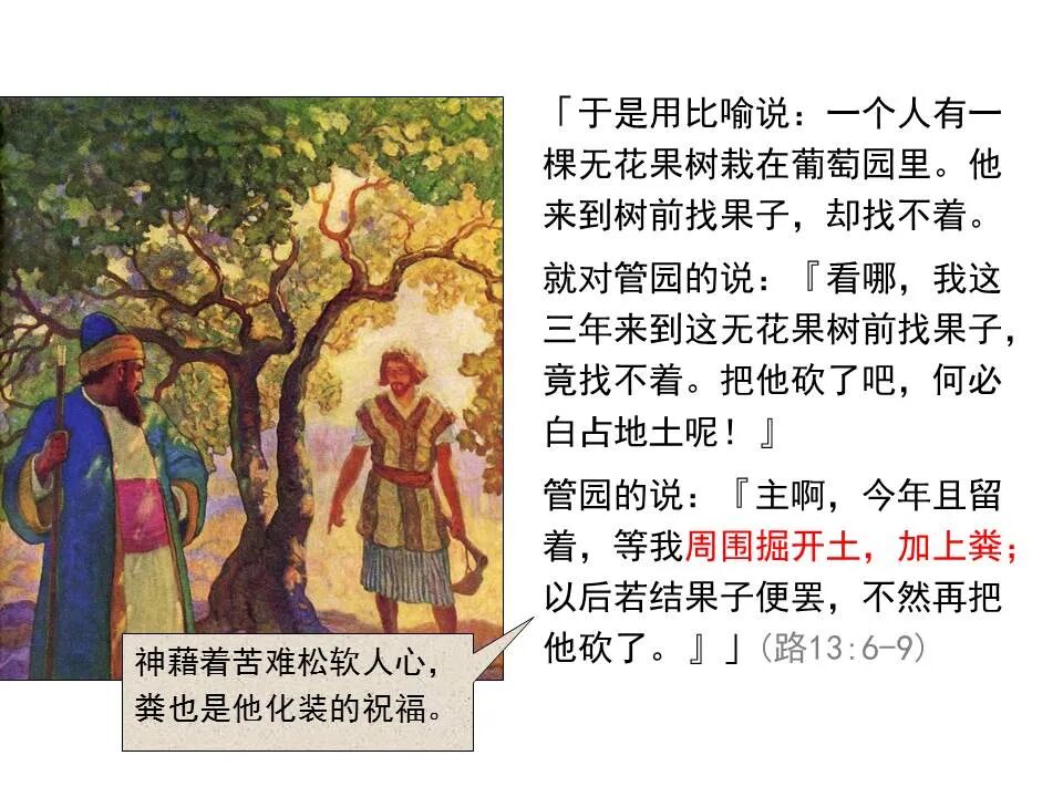 圣经图表——《路加福音》中(图95)